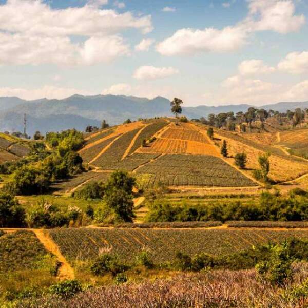 Motorradreisen Thailand Nong Khiaw UNESCO kunsthandwerklichen